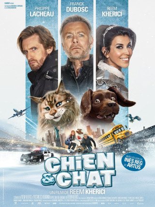 La Pat' Patrouille 2 au cinéma : les chiens Avengers embarquent pour une  grande aventure familiale - Actus Ciné - AlloCiné