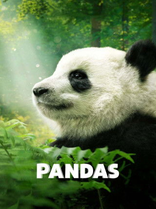 PANDAS